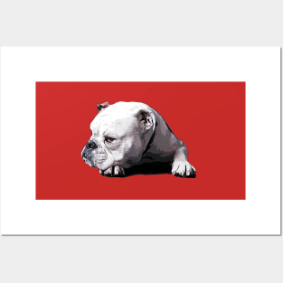 Bulldog Chill Out Posters and Art